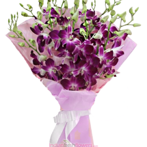 Colour of Orchids 9 PUrple orchids