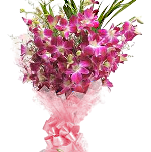 The Blush 9 Purple Orchids