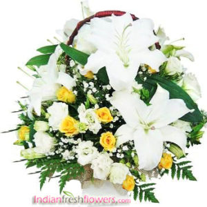 Expression of Delight