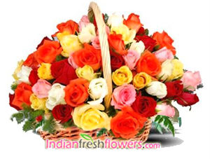 Magical Celebrations