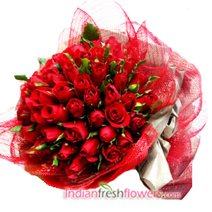 Sparkling Red Beauty