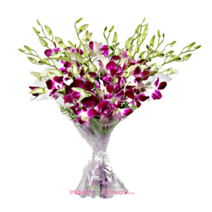 Simply Pure 10 Purple Orchids