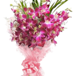 The Blush 9 Purple Orchids