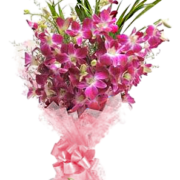 The Blush 9 Purple Orchids