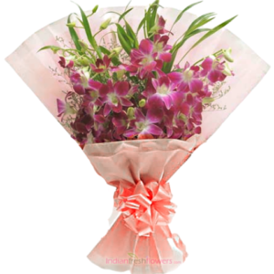 Ultimate Style 6 Purple